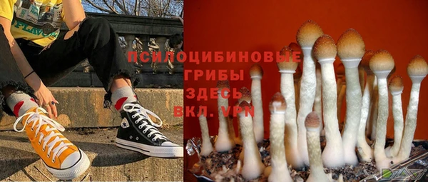 герыч Куйбышев