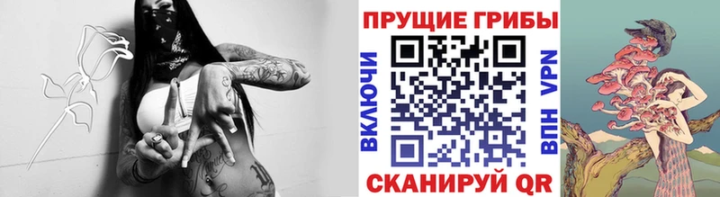 купить наркоту  Ковров  мега tor  Галлюциногенные грибы мухоморы 
