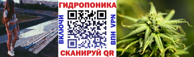 сколько стоит  Ковров  Каннабис марихуана 